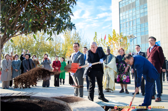 1763631734634406.png image.png